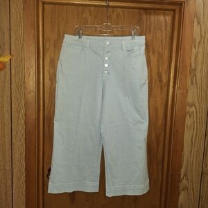 a.n.a Light Blue Ankle Jeans